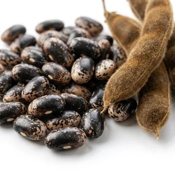 Velvet bean (Mucuna)